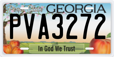 GA license plate PVA3272