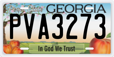 GA license plate PVA3273