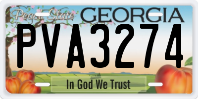 GA license plate PVA3274