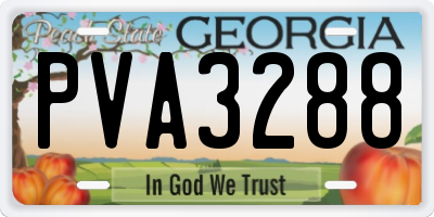 GA license plate PVA3288