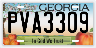 GA license plate PVA3309