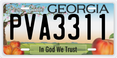 GA license plate PVA3311