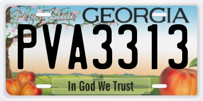 GA license plate PVA3313