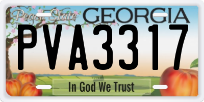 GA license plate PVA3317