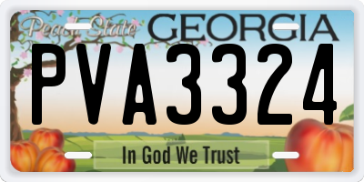 GA license plate PVA3324