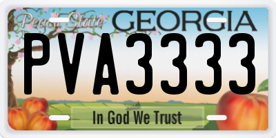 GA license plate PVA3333