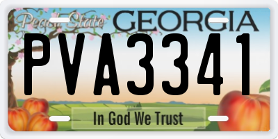 GA license plate PVA3341