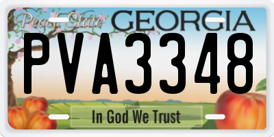 GA license plate PVA3348