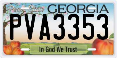GA license plate PVA3353