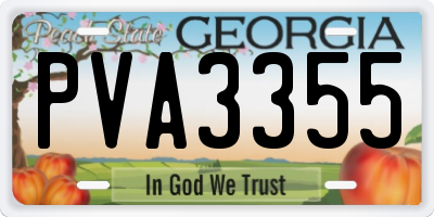 GA license plate PVA3355