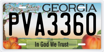 GA license plate PVA3360