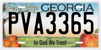 GA license plate PVA3365
