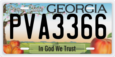 GA license plate PVA3366