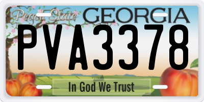 GA license plate PVA3378