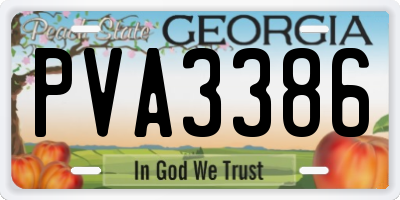 GA license plate PVA3386