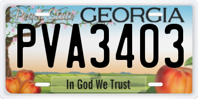 GA license plate PVA3403