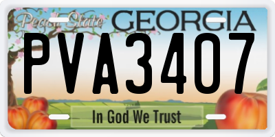 GA license plate PVA3407