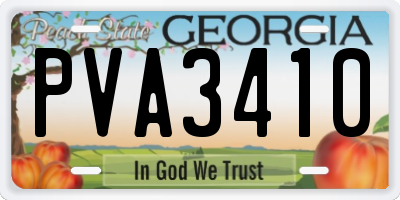 GA license plate PVA3410