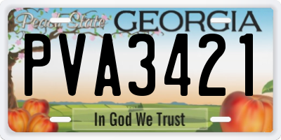 GA license plate PVA3421
