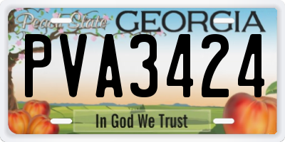 GA license plate PVA3424