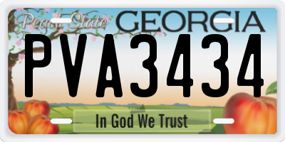 GA license plate PVA3434