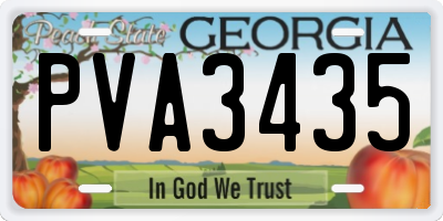 GA license plate PVA3435