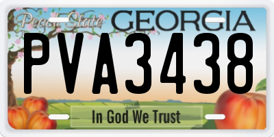 GA license plate PVA3438
