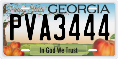 GA license plate PVA3444