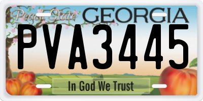 GA license plate PVA3445