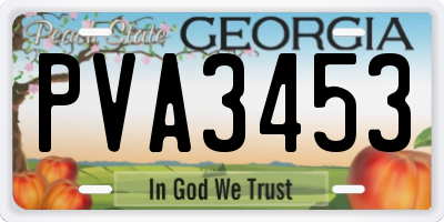 GA license plate PVA3453