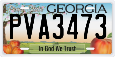 GA license plate PVA3473