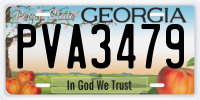 GA license plate PVA3479
