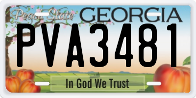 GA license plate PVA3481