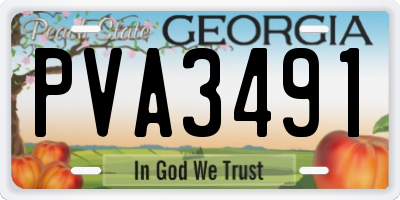 GA license plate PVA3491