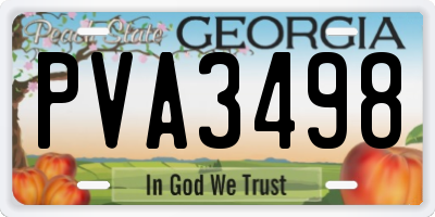 GA license plate PVA3498