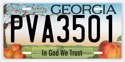 GA license plate PVA3501