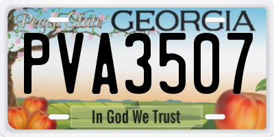 GA license plate PVA3507
