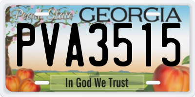 GA license plate PVA3515