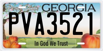 GA license plate PVA3521