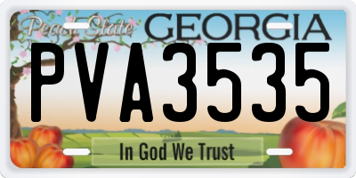 GA license plate PVA3535