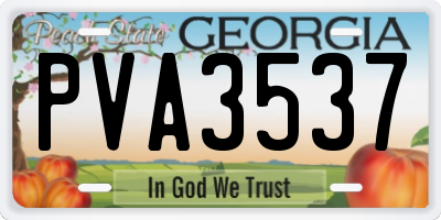 GA license plate PVA3537