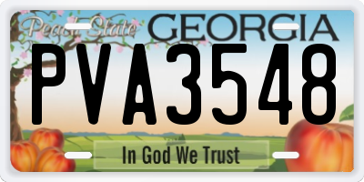GA license plate PVA3548
