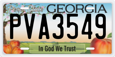 GA license plate PVA3549