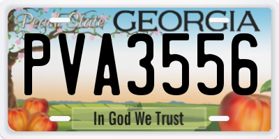 GA license plate PVA3556