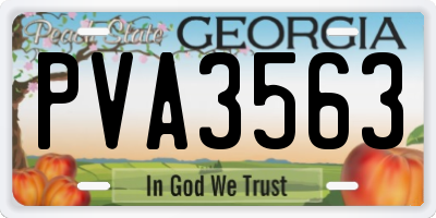 GA license plate PVA3563