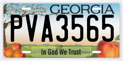 GA license plate PVA3565