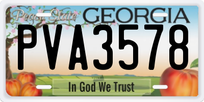 GA license plate PVA3578