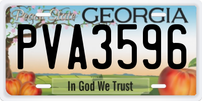 GA license plate PVA3596