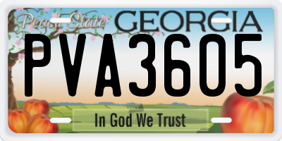 GA license plate PVA3605