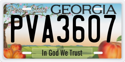 GA license plate PVA3607